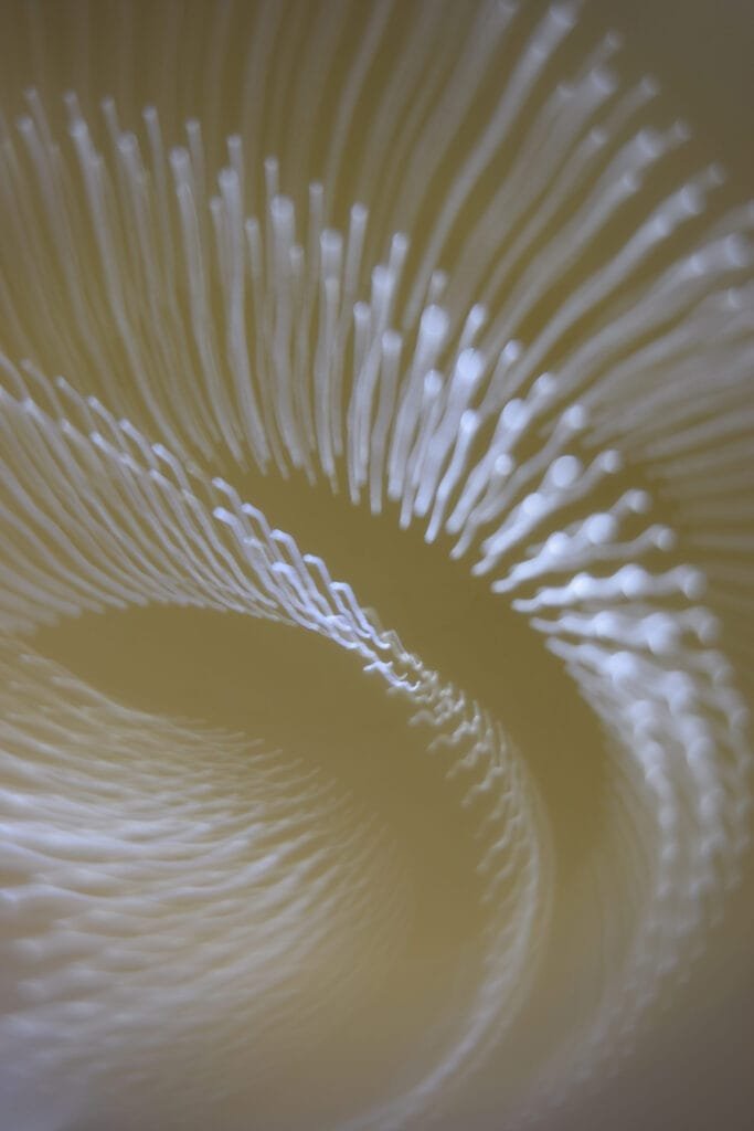 Shot at the National Arts Centre, Tokyo, September 2018