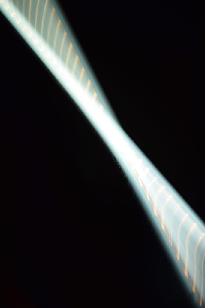 Shot in Tokyo, September 2018