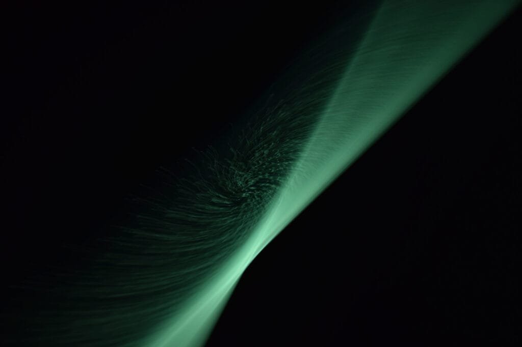 Shot in Tokyo, September 2018