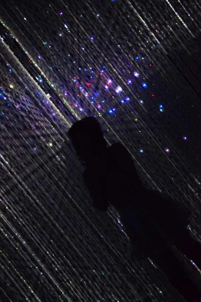 Shot at the Teamlab Borderless exhibition, Shanghai, 2019