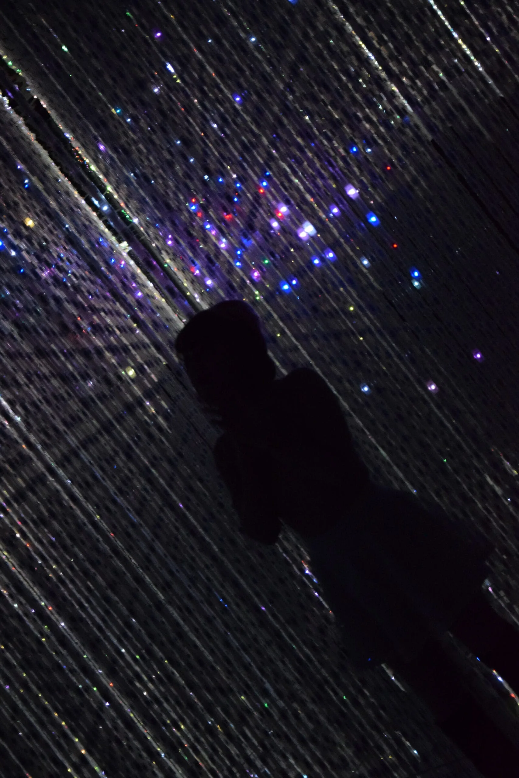 Shot at the Teamlab Borderless exhibition, Shanghai, 2019